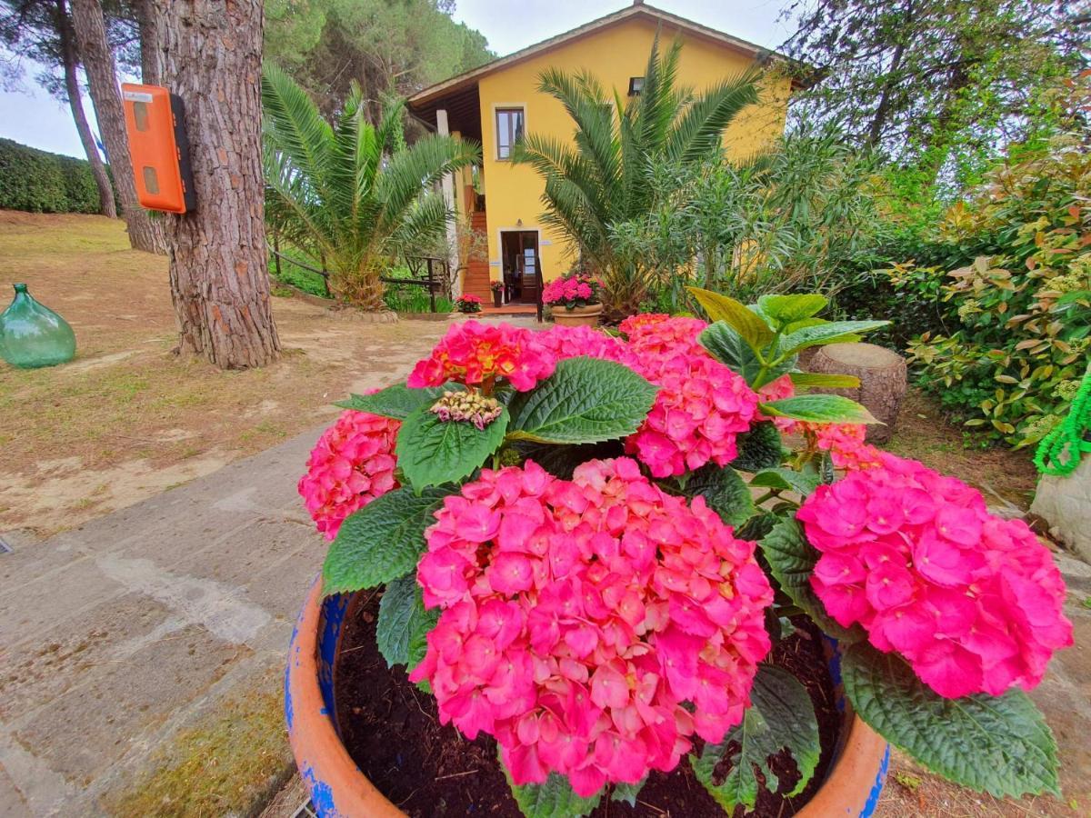 Toscana Holiday Village มนโตโปลิอินวัลดาร์โน ภายนอก รูปภาพ
