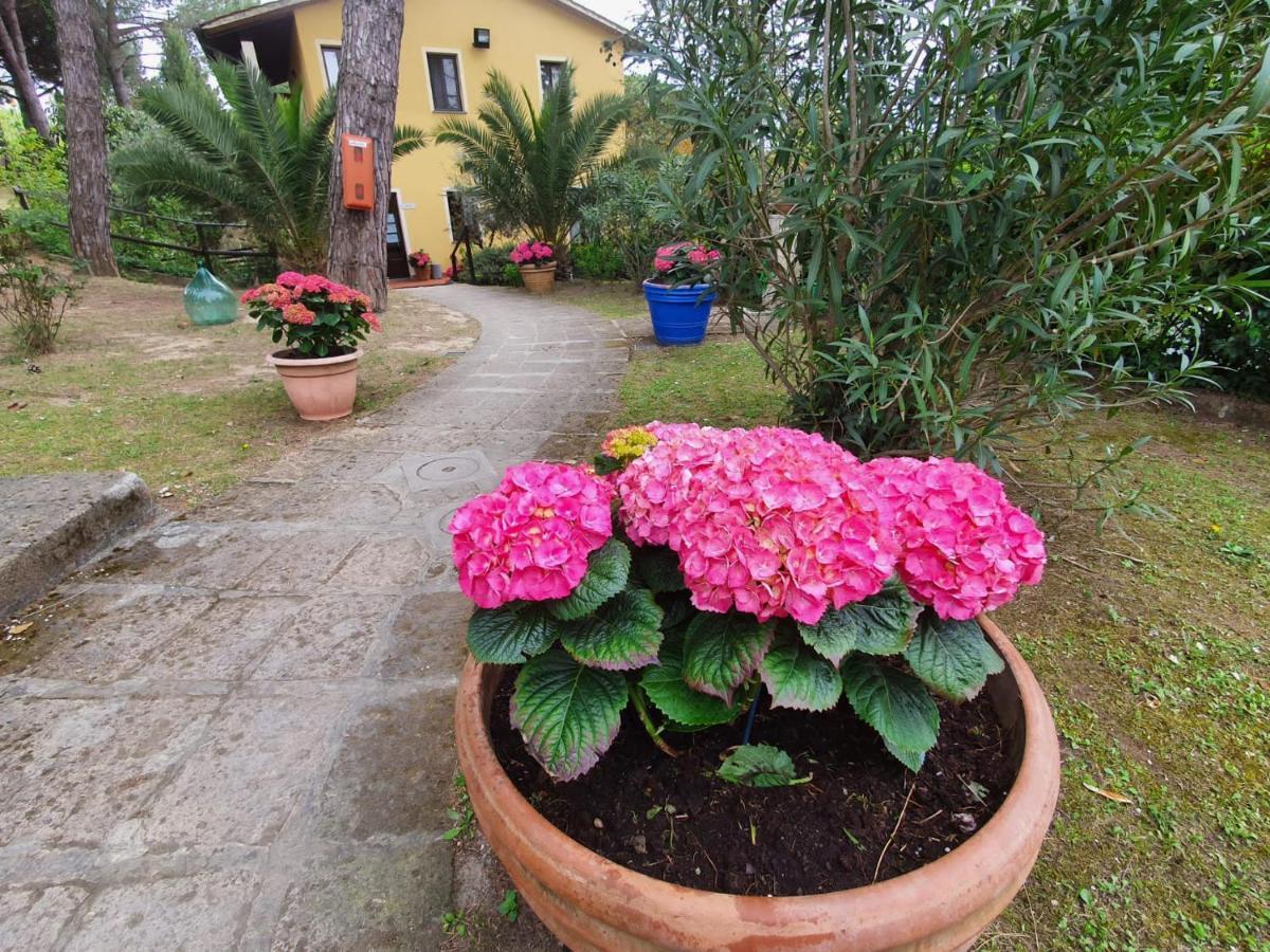 Toscana Holiday Village มนโตโปลิอินวัลดาร์โน ภายนอก รูปภาพ