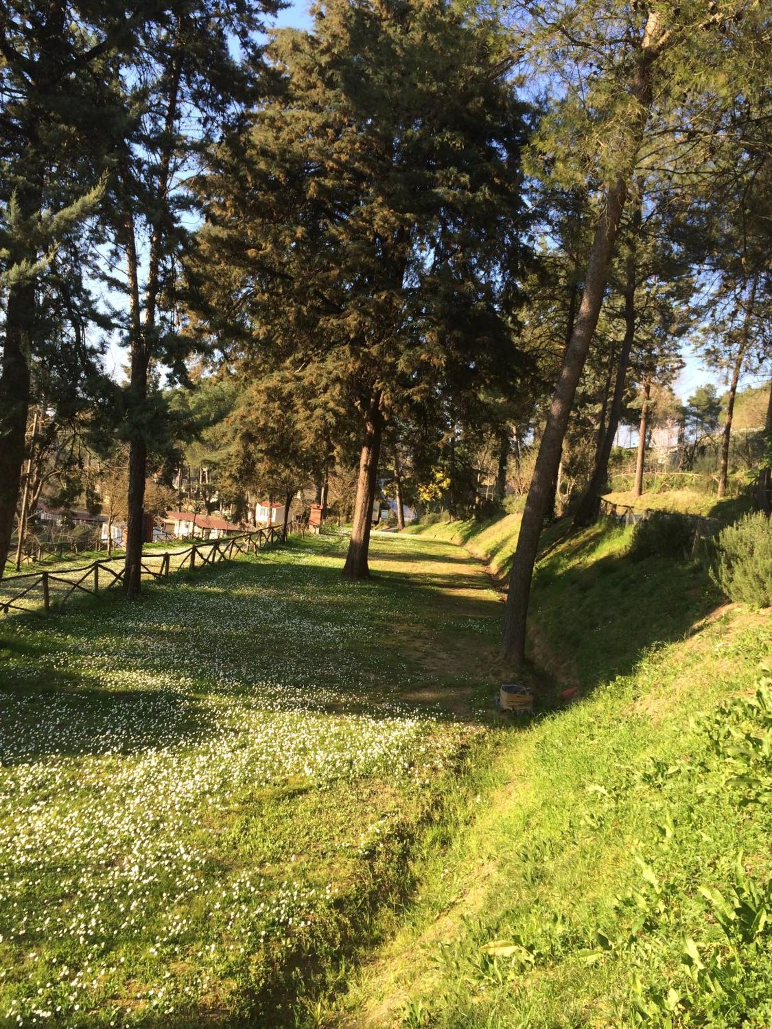 Toscana Holiday Village มนโตโปลิอินวัลดาร์โน ภายนอก รูปภาพ